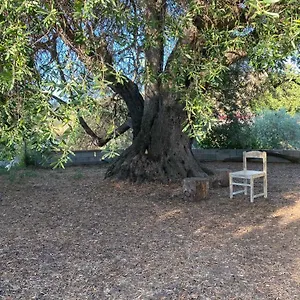 Casa Olea , Sorso Italie